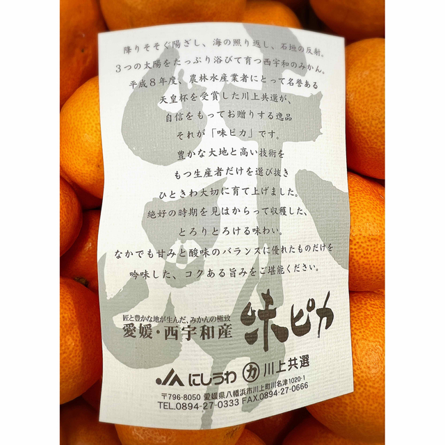 最上級高級蜜柑!愛媛県産【味ピカみかん】Sサイズ5kg