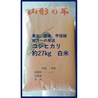 コシヒカリ白米約27kg(農協出荷は一等米)山形県産　令和４年産(米/穀物)