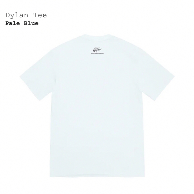 シュプリーム　Dyran Tee　ペールブルーL