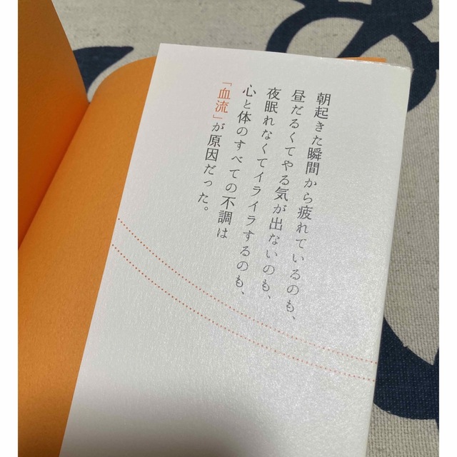 血流がすべて解決する　堀江昭佳 エンタメ/ホビーの雑誌(結婚/出産/子育て)の商品写真