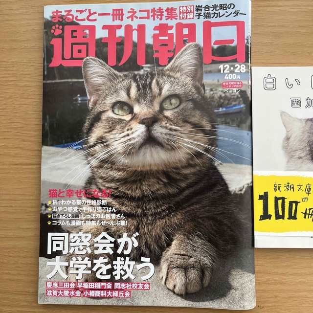 3冊セット（週刊朝日、西加奈子 文庫本2冊） エンタメ/ホビーの本(文学/小説)の商品写真