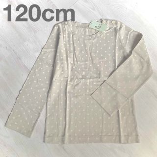 キムラタン(キムラタン)の新品タグ付き  fas キムラタン 120cm 長そでTシャツ(Tシャツ/カットソー)