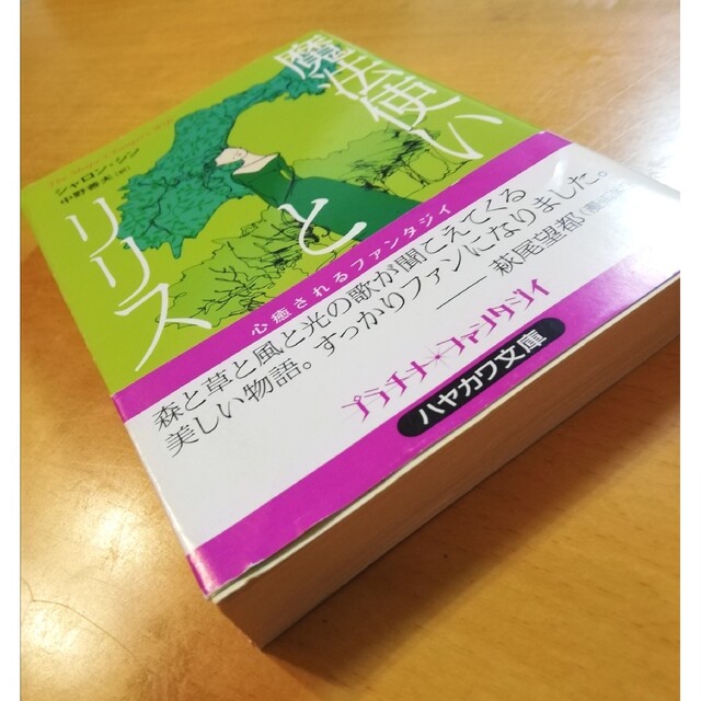 魔法使いとリリス　　　　　　　プラチナファンタジィ エンタメ/ホビーの本(文学/小説)の商品写真