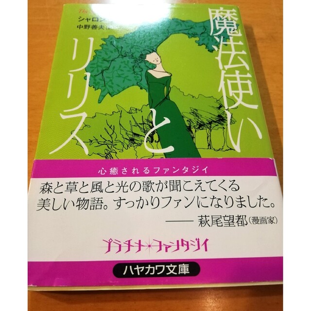 魔法使いとリリス　　　　　　　プラチナファンタジィ エンタメ/ホビーの本(文学/小説)の商品写真