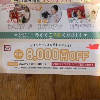 キタムラ(Kitamura)のスタジオマリオ　8000円引き　割引券(その他)