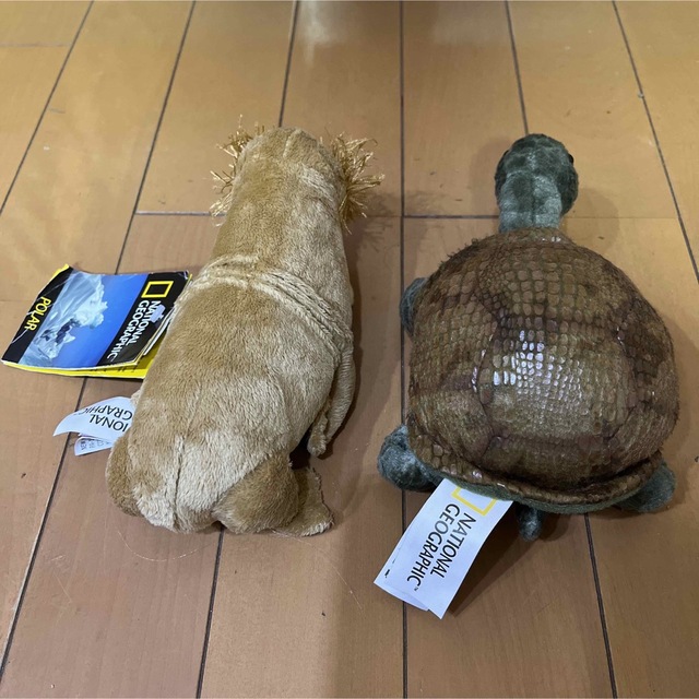 新品　NATIONAL GEOGRAPHIC セイウチ　カメ　ぬいぐるみ　2点♡ エンタメ/ホビーのおもちゃ/ぬいぐるみ(ぬいぐるみ)の商品写真