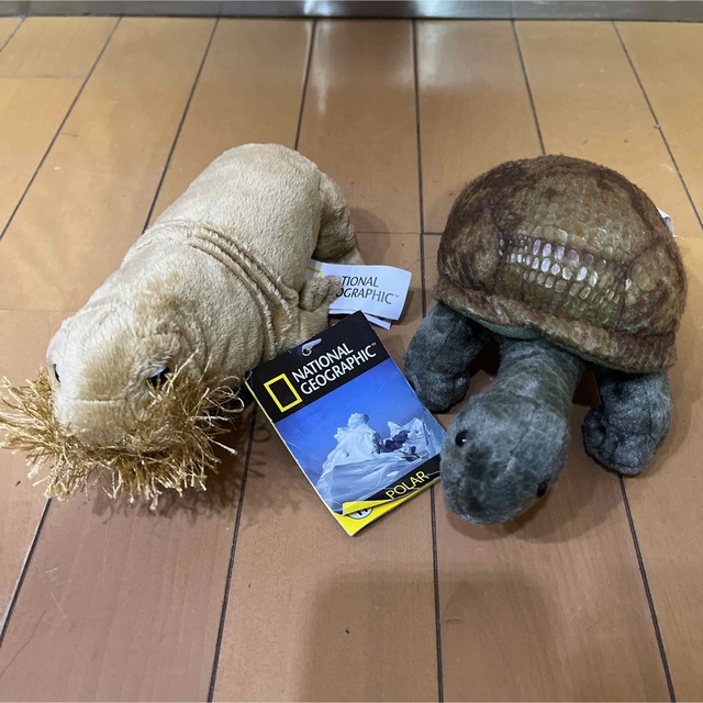 新品　NATIONAL GEOGRAPHIC セイウチ　カメ　ぬいぐるみ　2点♡ エンタメ/ホビーのおもちゃ/ぬいぐるみ(ぬいぐるみ)の商品写真