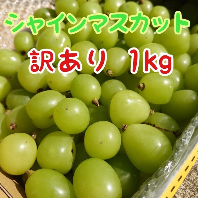 山梨県産❯☆シャインマスカット☆粒売り1.0kg 果物