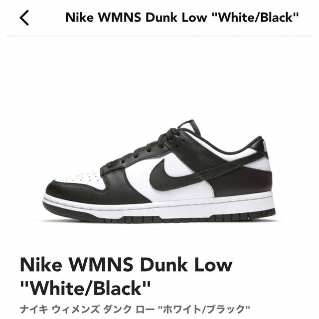 NIKEパンダダンク-connectedremag.com