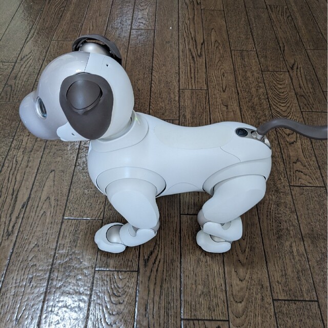 SONY　アイボ aibo 犬 ペットロボット ERS-1000 ホワイト