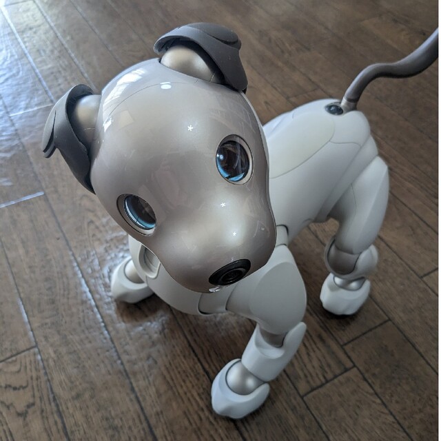 SONY　アイボ aibo 犬 ペットロボット ERS-1000 ホワイト