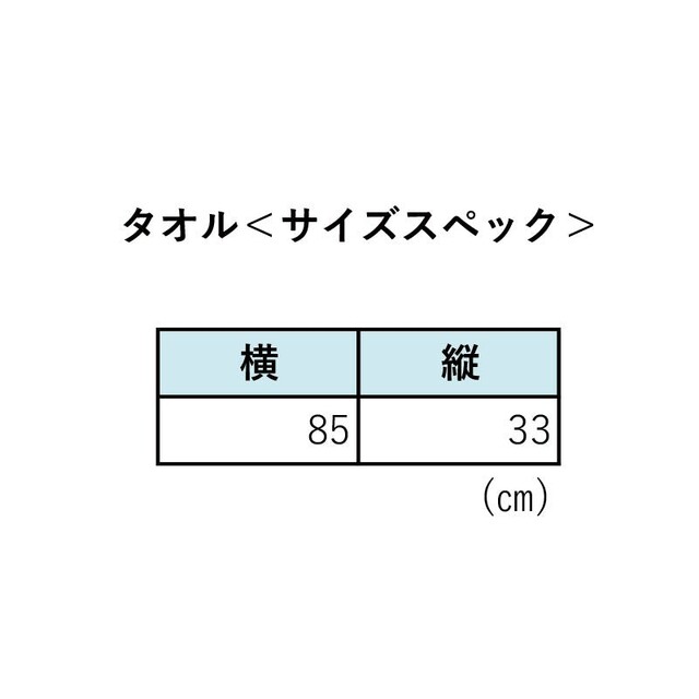 TESTSET タオル エンタメ/ホビーのタレントグッズ(ミュージシャン)の商品写真