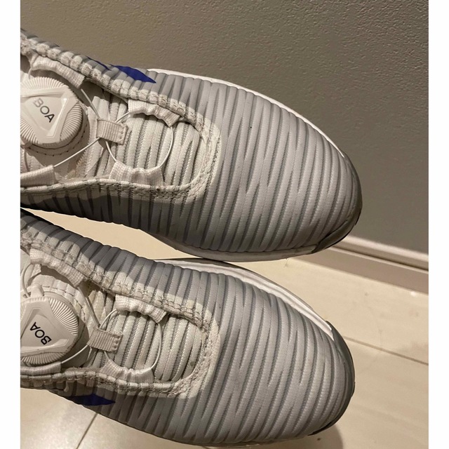 adidas(アディダス)のキッズ　ゴルフシューズ キッズ/ベビー/マタニティのベビー靴/シューズ(~14cm)(スニーカー)の商品写真