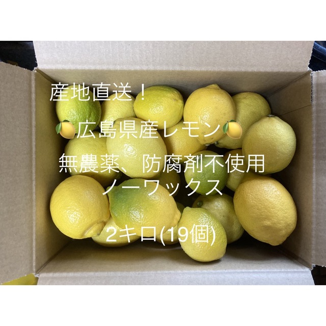 産地直送！広島県産レモン　無農薬、防腐剤不使用、ノーワックス　2キロ　食品