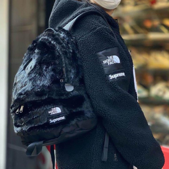 Supreme/The North Face Faux Fur Backpack