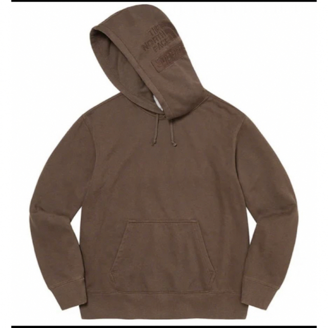 Supreme The North Face Hooded Sweatshirt