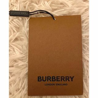 BURBERRY - 再値下げ☆新品レアBURBERRY バーバリーTBモノグラム