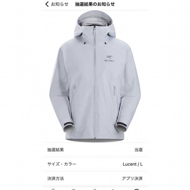 幸せなふたりに贈る結婚祝い BETA ARC'TERYX Lサイズ - ARC'TERYX LT
