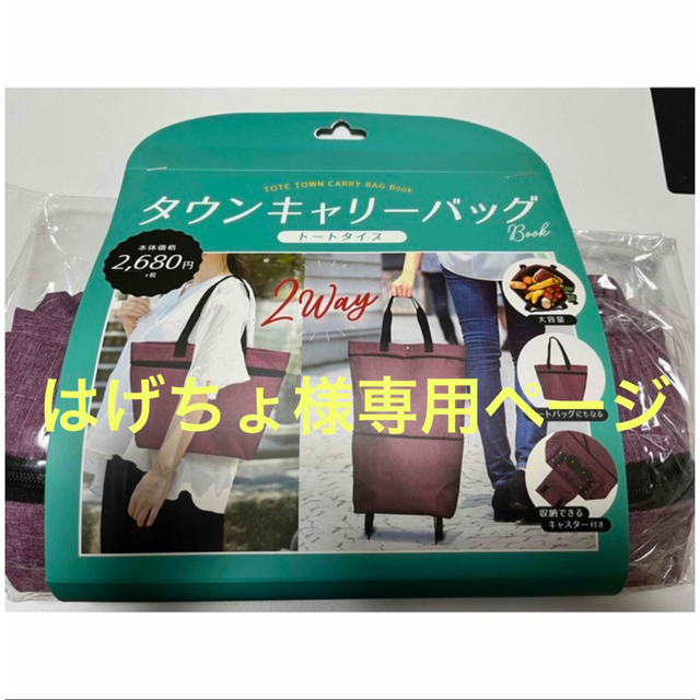 タウンキャリーバッグ レディースのバッグ(スーツケース/キャリーバッグ)の商品写真