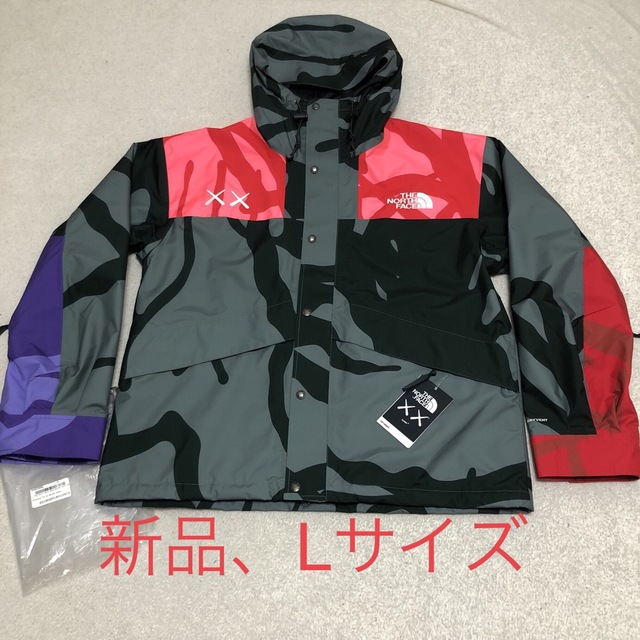 新品 正規品 the north  face kaws  ノースフェイス  L