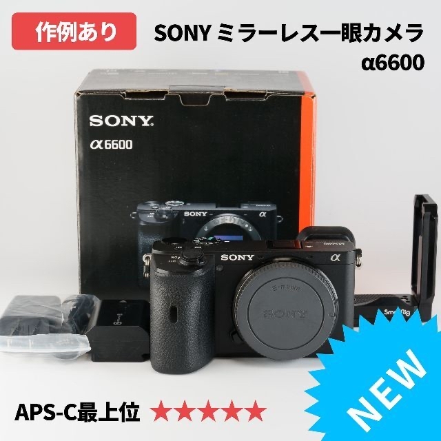 破格4点セット】SONY α6600ミラーレスカメラセット！ - novius-it.hu
