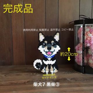 seinatouchアイロンビーズ完成品　柴犬　黒柴③ オーダ可能(インテリア雑貨)