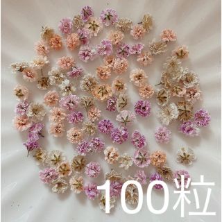 (04)かすみ草ドライフラワー100粒(ドライフラワー)