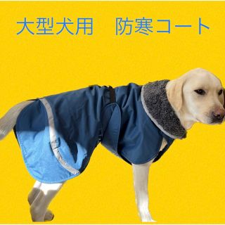 ポムッパ ペルス 犬服　防寒コート 65 防風防雨　大型犬用(犬)