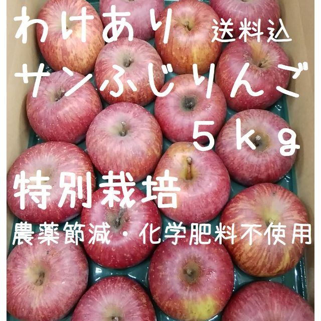 【無濾過純米古酒様専用】大きめわけありサンふじりんご5kg✕２《特別栽培》 食品/飲料/酒の食品(フルーツ)の商品写真