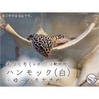 レオパ　レオパードゲッコー　爬虫類　小動物　手作りハンモック　ゆったり大きめ 白(爬虫類/両生類用品)