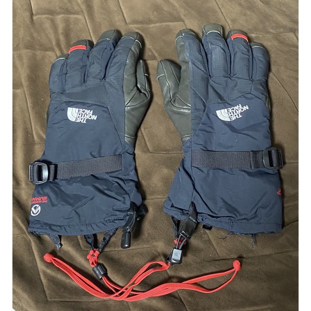 ノースフェイス GORE-TEX ゴアテックス スキー スノボ グローブ