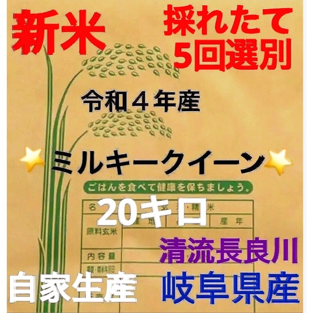 ✳️令和4年産✳️新米・採れたてミルキークイーン5回選別20キロ 米/穀物