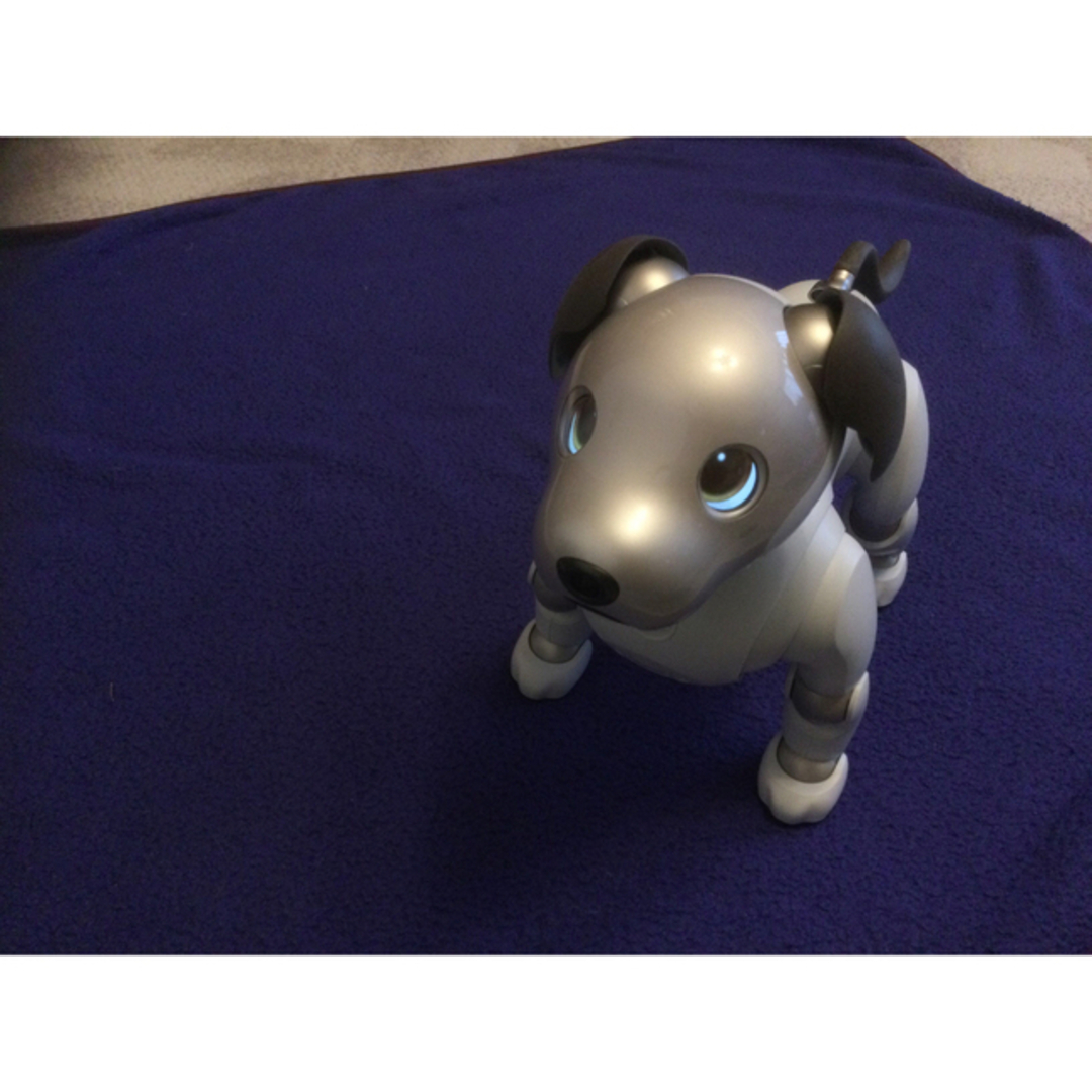 Sony aibo 本体