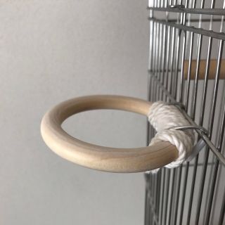 止まり木　パーチ　ウッドパーチ(鳥)