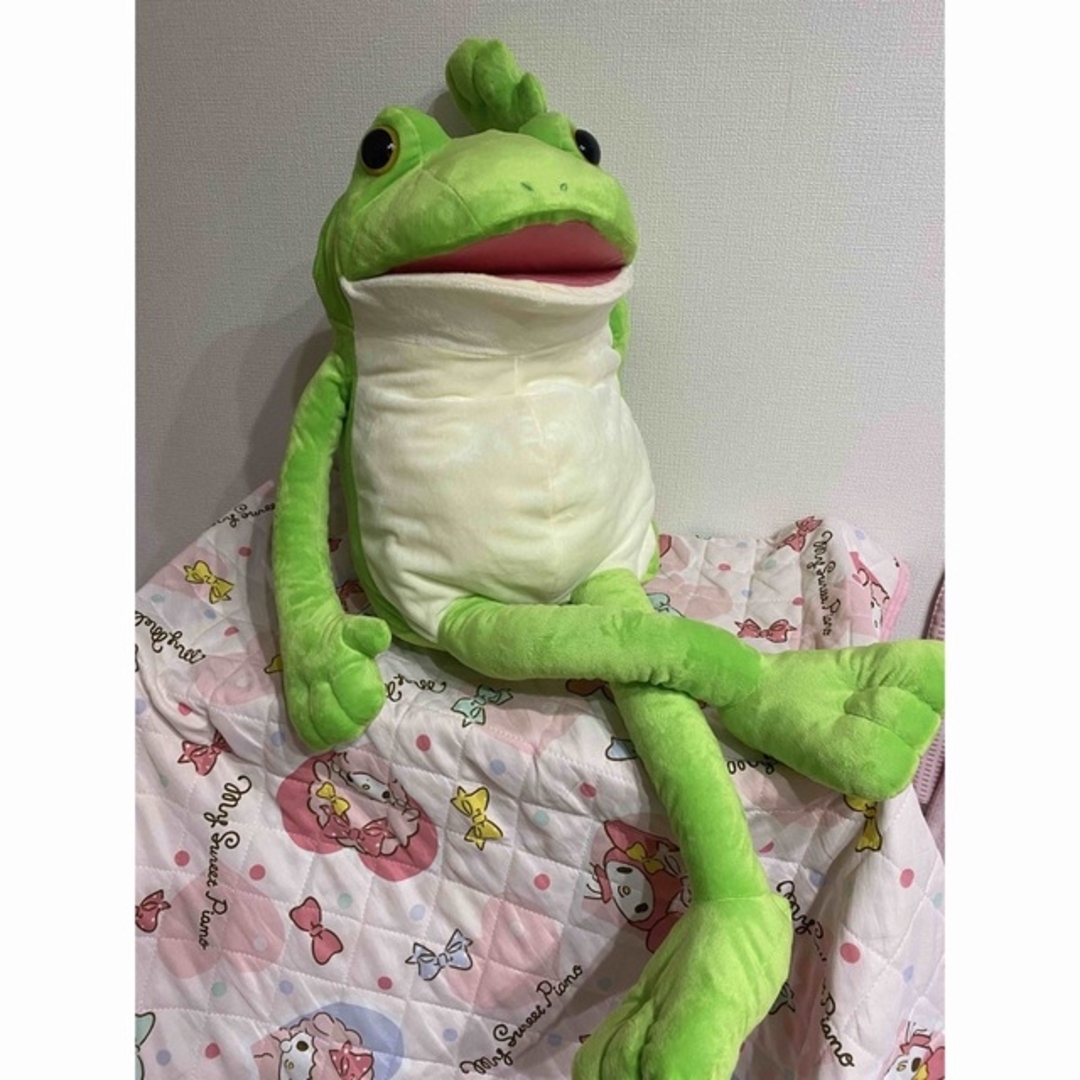 ✳︎限定品✳︎くったりけろさん　２種セット🐸