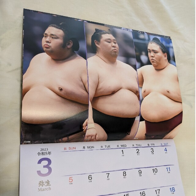 相撲 カレンダー インテリア/住まい/日用品の文房具(カレンダー/スケジュール)の商品写真