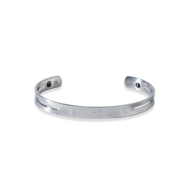 TITANIUM チタン Bangle Silver