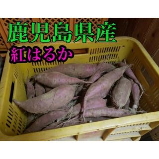 ※送料無料 鹿児島県産【紅はるか】５kg(野菜)