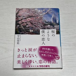 桜のような僕の恋人(その他)