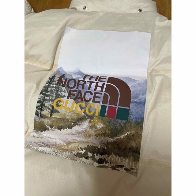 激レアGUCCI × THE NORTH FACEグッチ ノースフェイス ダウン | フリマアプリ ラクマ