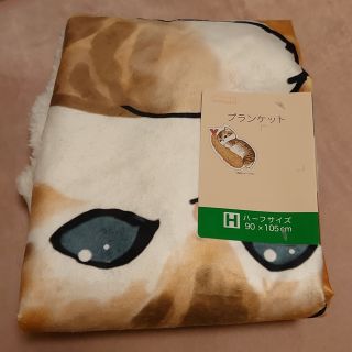 シマムラ(しまむら)のぢゅの　モフサンド　mofusand  もふさんど ブランケット　えびにゃん(キャラクターグッズ)