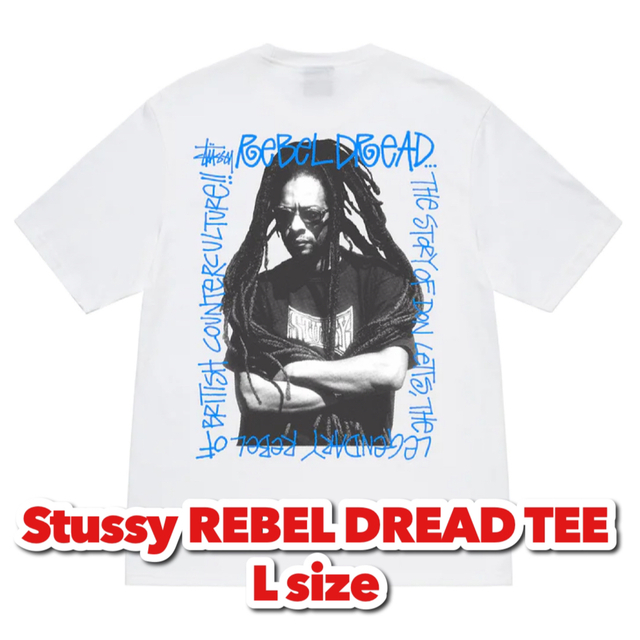 Stussy REBEL DREAD TEE Tシャツ ステューシー