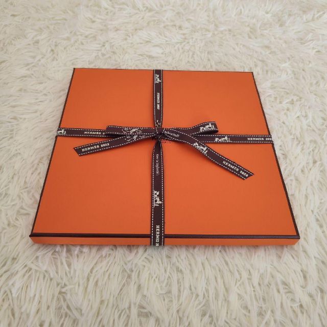 希少新品未使用 HERMES カレ90 (ローブ・レジェール) オレンジ 希少新品未使用 HERMES カレ90 (ローブ・レジェール) オレンジ
