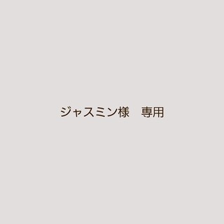 ジャスミン様　専用ページです(その他)