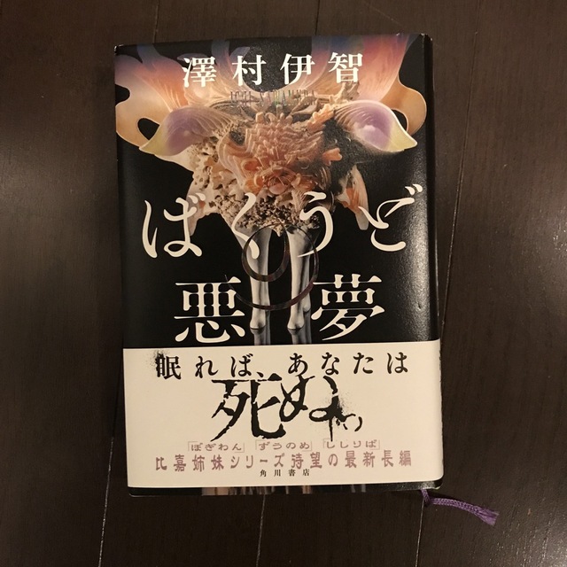 ばくうどの悪夢 エンタメ/ホビーの本(文学/小説)の商品写真