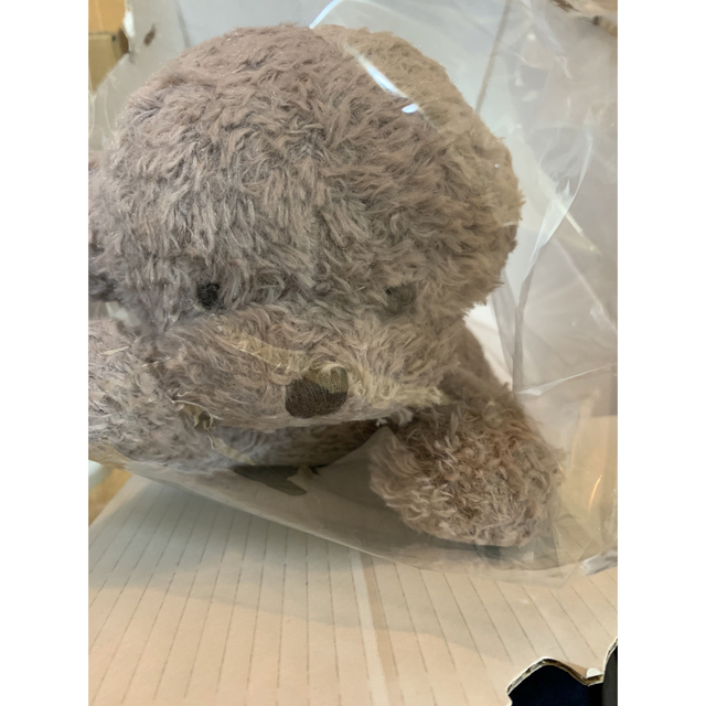 gelato pique - ジェラートピケ トイプードルぬいぐるみの通販 gelato pique - ジェラートピケ トイプードルぬいぐるみの通販