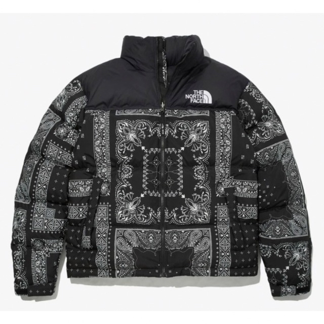 THE NORTH FACE ヌプシ ペイズリー - ダウンジャケット