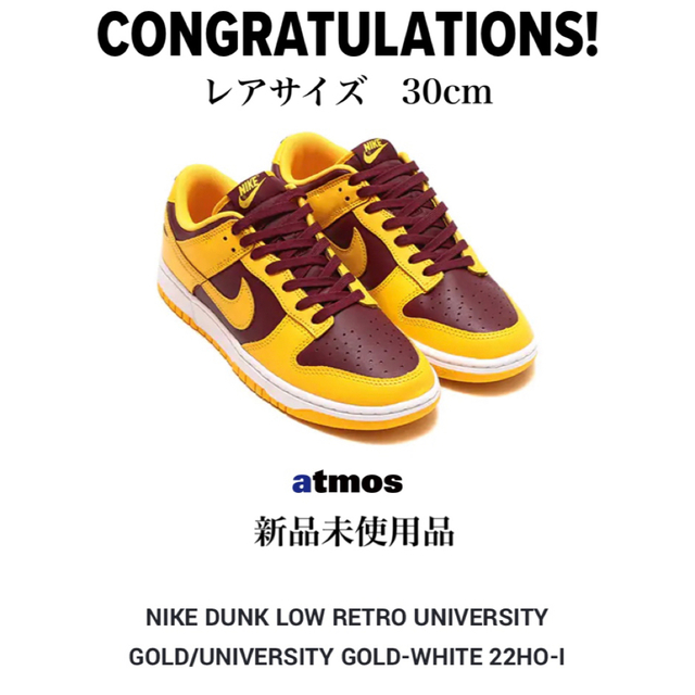 Nike Dunk Low Retro "IOWA" ナイキ　ダンクロー　レトロ