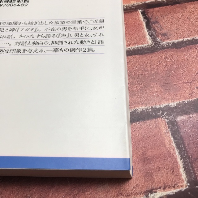 アガタ　声 エンタメ/ホビーの本(その他)の商品写真