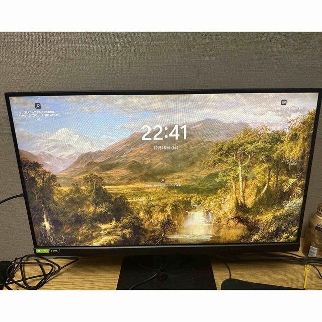 MSI Optix MAG251RX 240hz ゲーミングモニター | gulatilaw.com